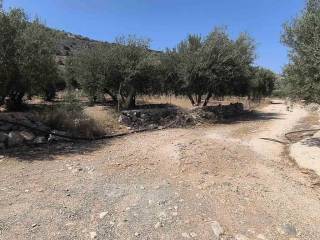 Plot - Grekodom 63359|987075