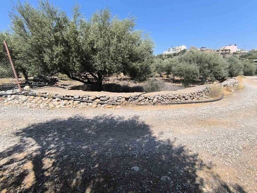 Plot - Grekodom 63359|987076