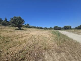 Plot - Grekodom 63386|986939