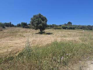 Plot - Grekodom 63386|986938