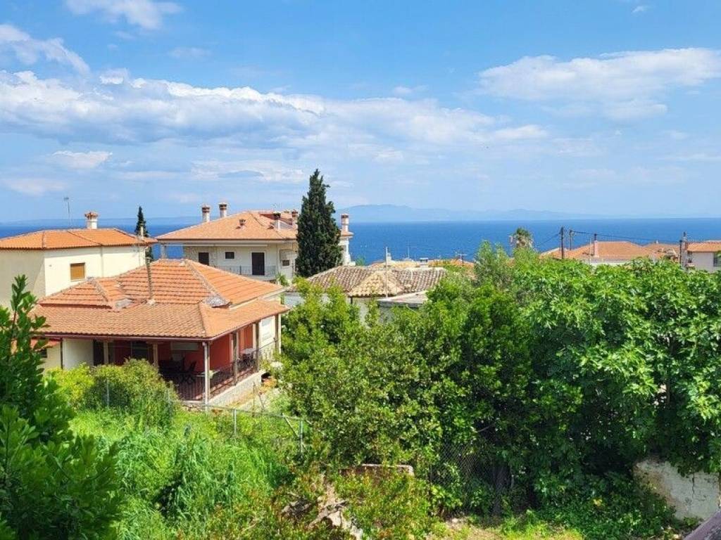 Apartment - Grekodom 63435|987816