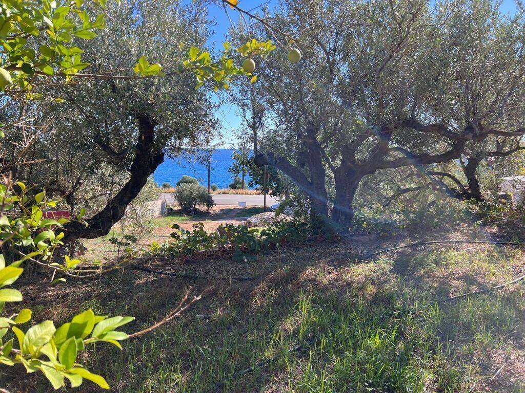 Other commercial - Grekodom 63434|987794