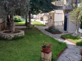 Apartment - Grekodom 63485|990781