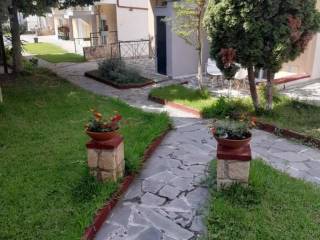 Apartment - Grekodom 63485|990784