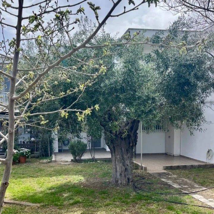 Maisonette - Grekodom 63514|991425