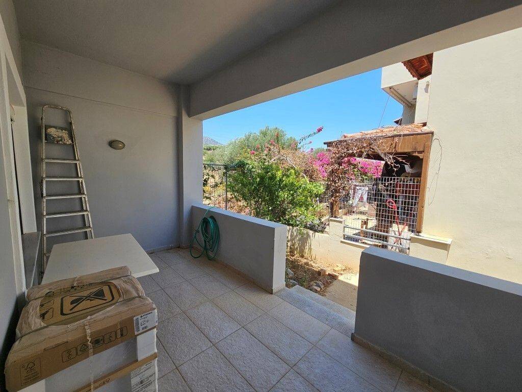 Apartment - Grekodom 63523|991584