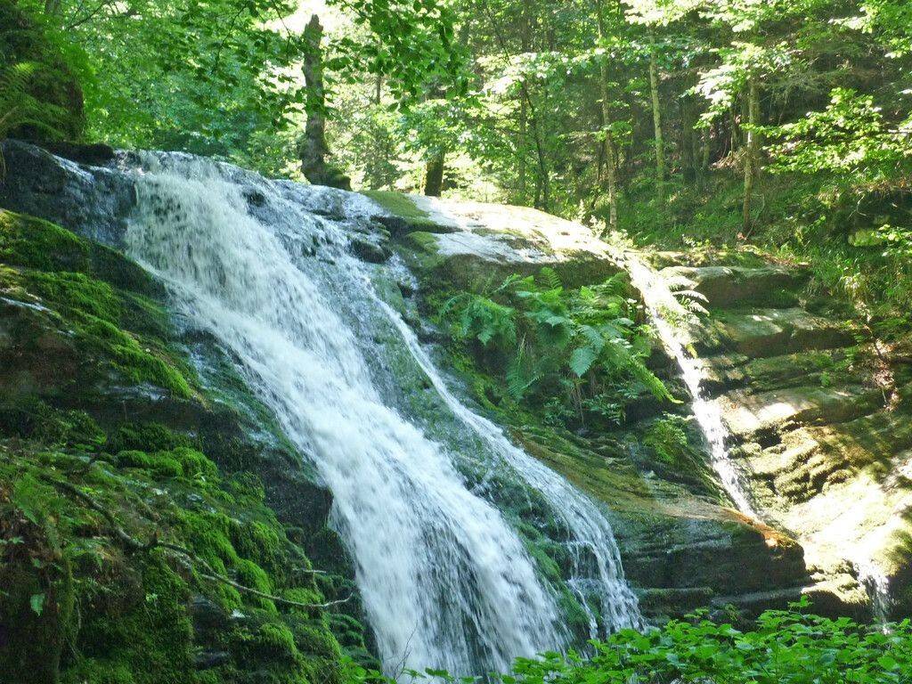 Building - Grekodom 63573|992851