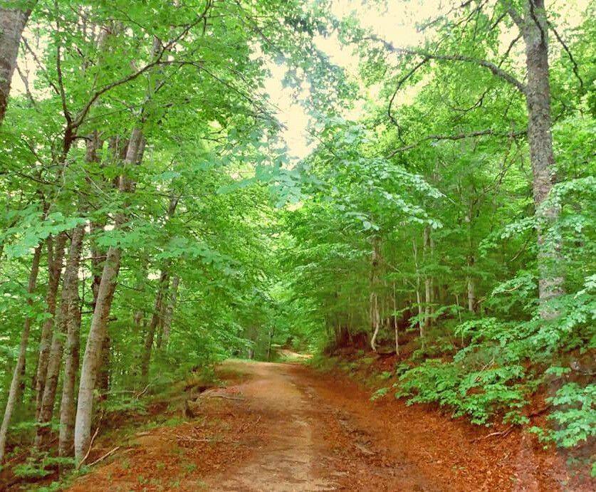 Building - Grekodom 63573|992853