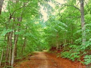 Building - Grekodom 63573|992853