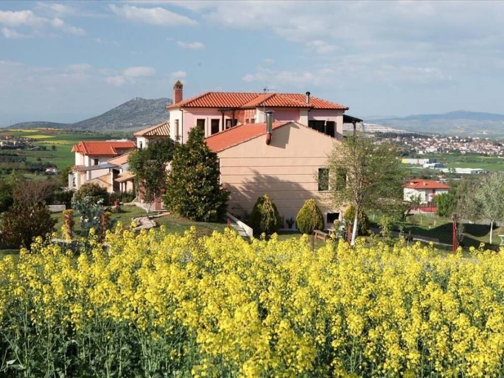 Villa - Grekodom 63621|993371