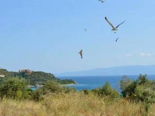 Apartment - Grekodom 63627|993940