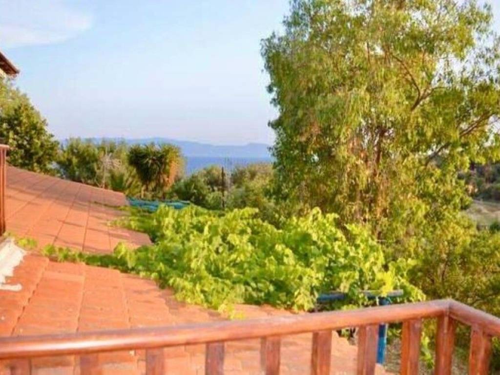 Apartment - Grekodom 63627|993943