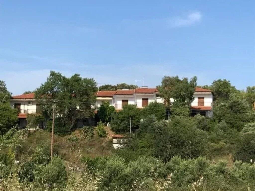 Apartment - Grekodom 63627|993946