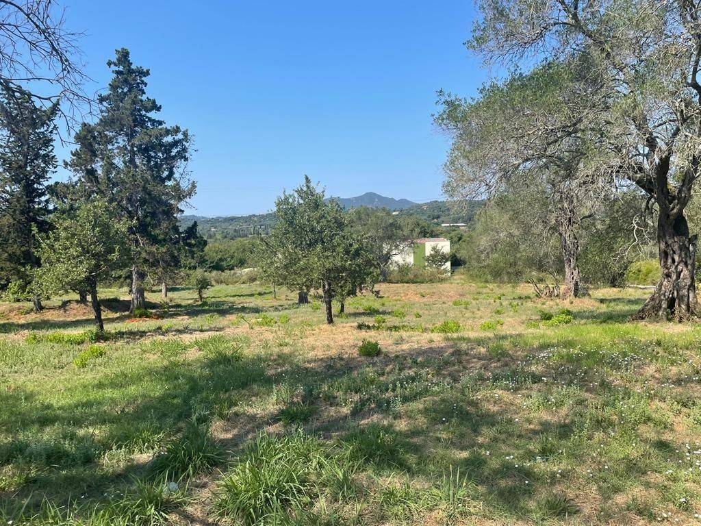 Plot - Grekodom 63646|994622