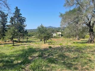 Plot - Grekodom 63646|994622