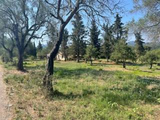 Plot - Grekodom 63646|994623