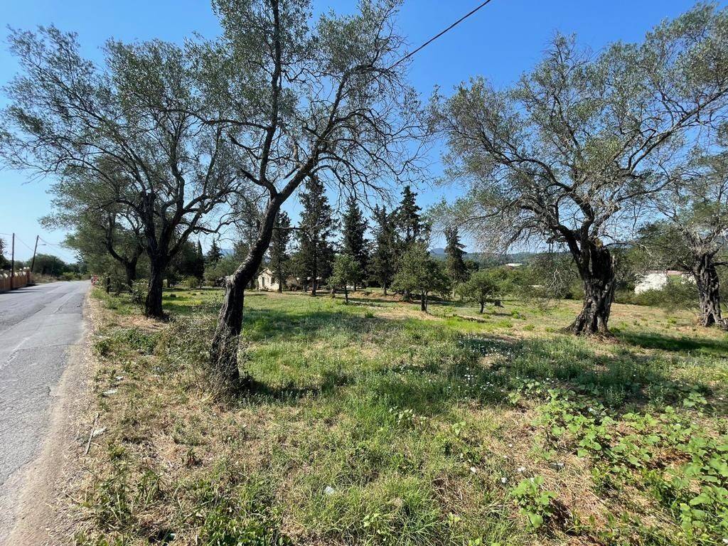 Plot - Grekodom 63646|994627