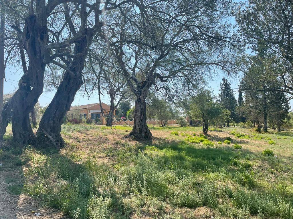 Plot - Grekodom 63646|994630