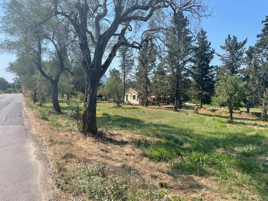 Plot - Grekodom 63646|994631