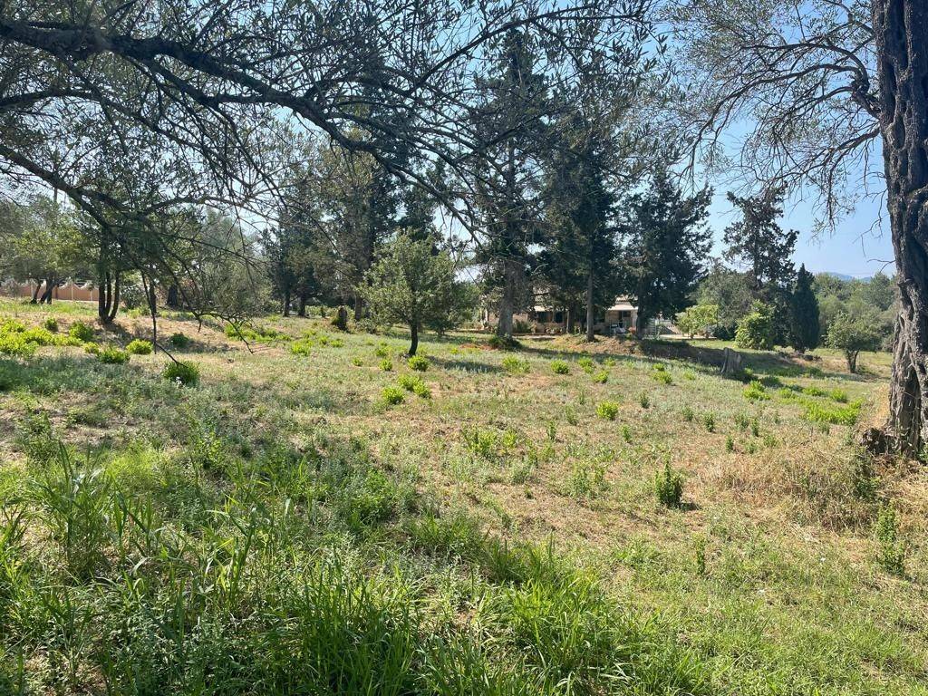 Plot - Grekodom 63646|994634