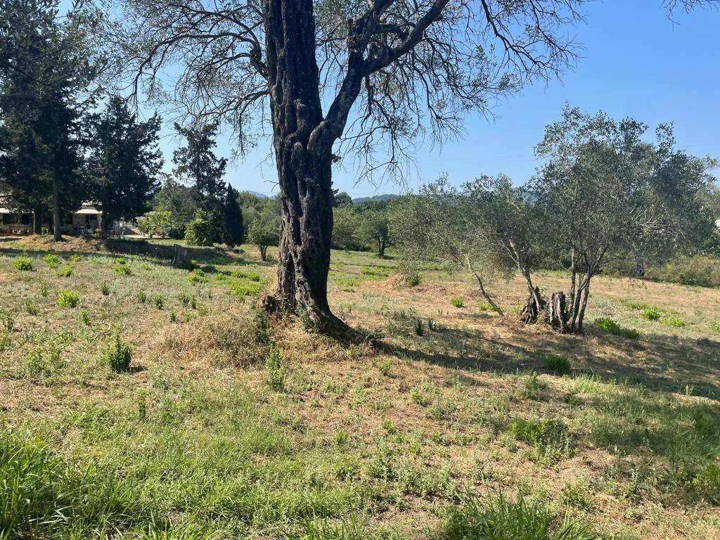 Plot - Grekodom 63646|994635