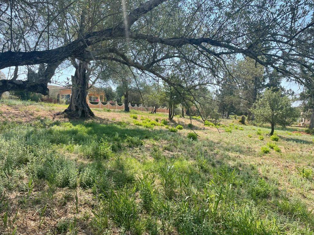 Plot - Grekodom 63646|994637