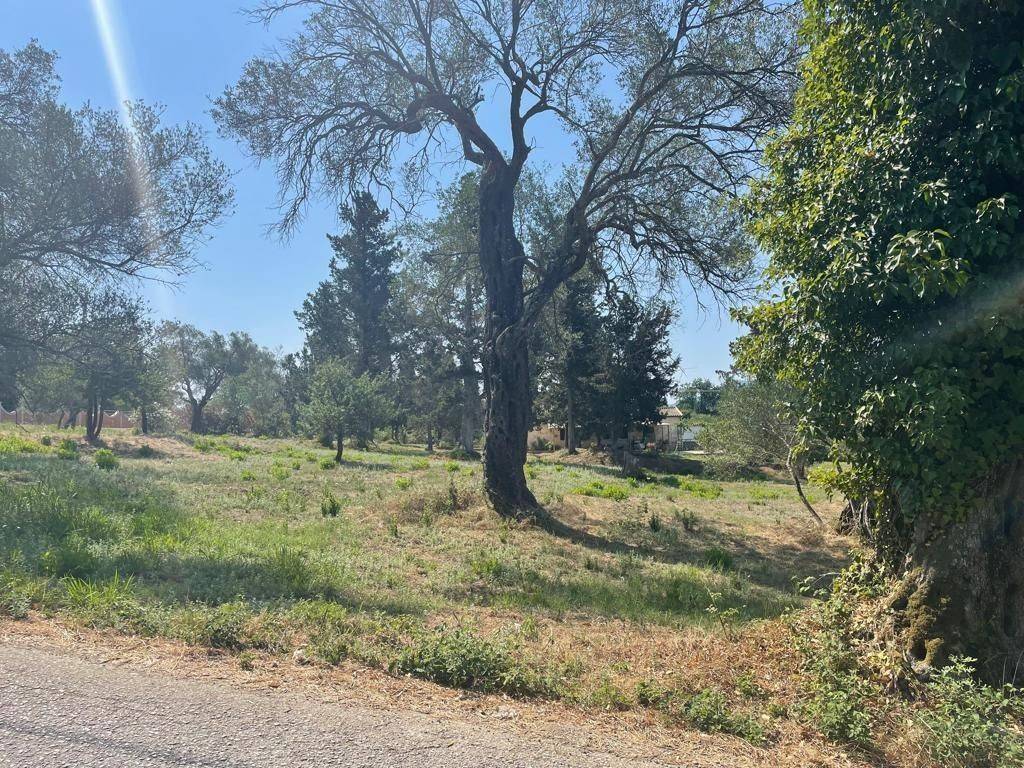 Plot - Grekodom 63646|994633