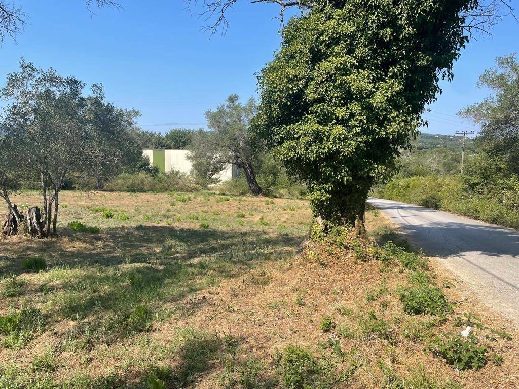 Plot - Grekodom 63646|994628