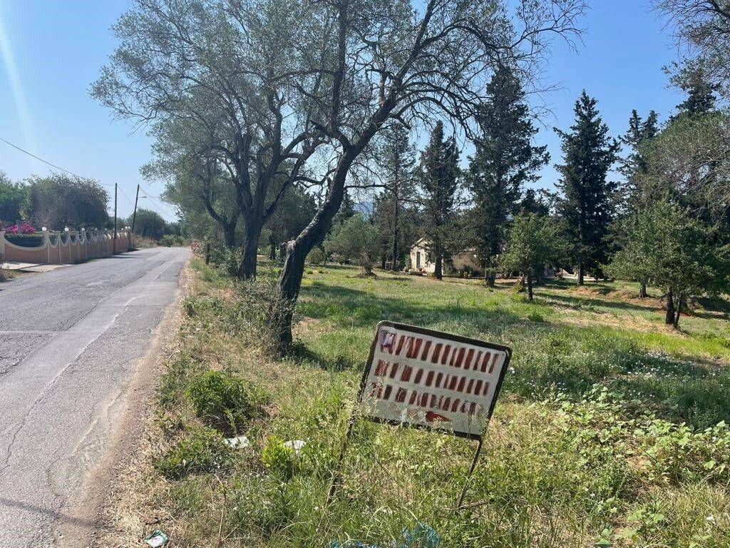 Plot - Grekodom 63646|994632