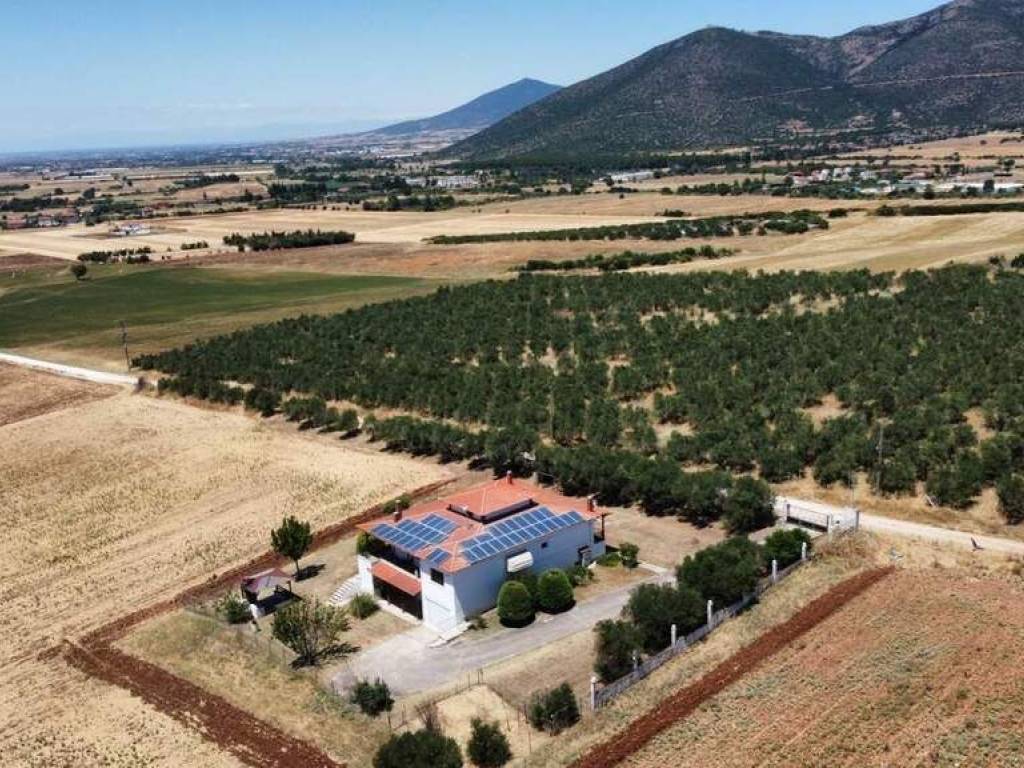 Detached - Grekodom 63689|997802