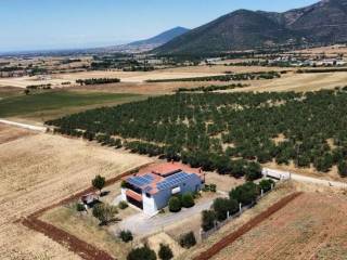 Detached - Grekodom 63689|997802