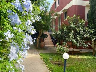 Apartment - Grekodom 63711|997696