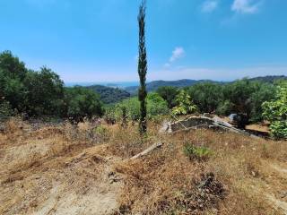 Plot - Grekodom 63742|998227