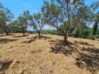 Plot - Grekodom 63742|998224