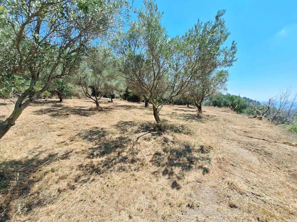 Plot - Grekodom 63742|998226