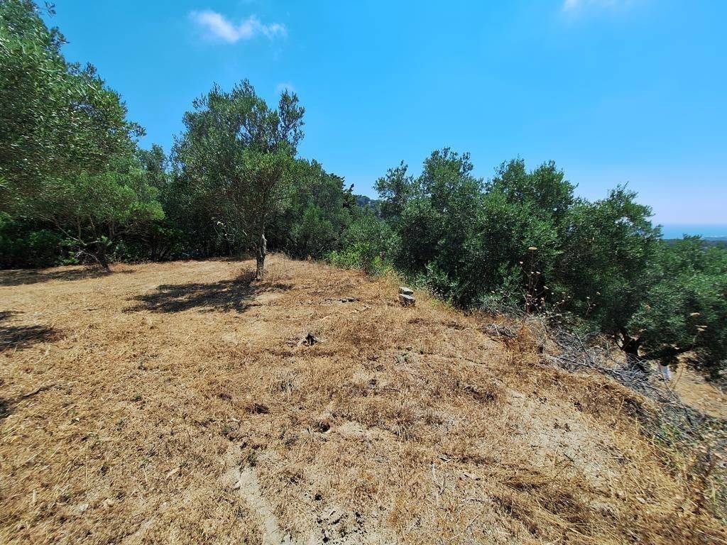 Plot - Grekodom 63742|998228