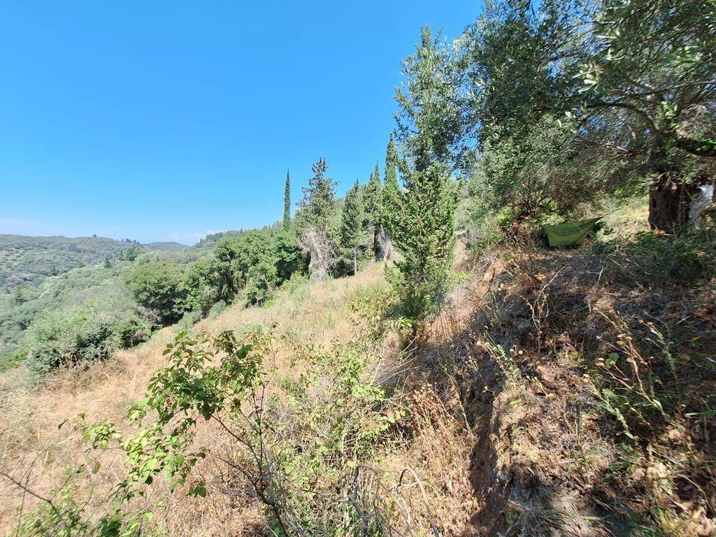 Plot - Grekodom 63742|998229