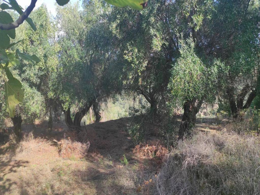 Plot - Grekodom 63742|998230