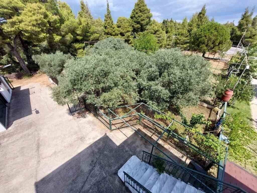 Detached - Grekodom 63738|998064