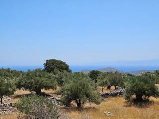 Plot - Grekodom 63746|998265