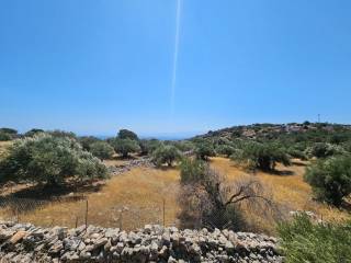 Plot - Grekodom 63746|998264