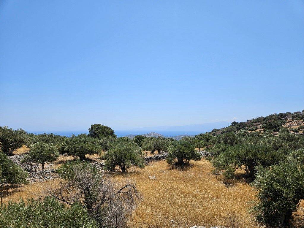 Plot - Grekodom 63746|998267