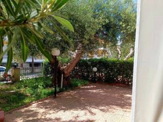 Apartment - Grekodom 63755|998585