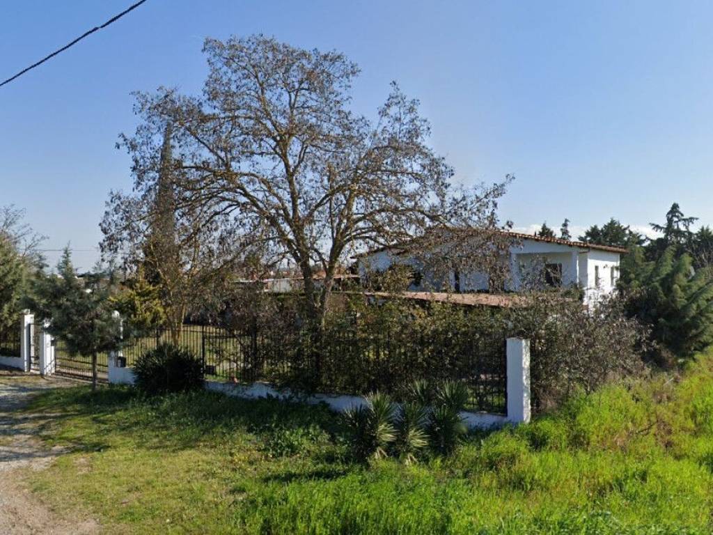 Detached - Grekodom 63763|998735