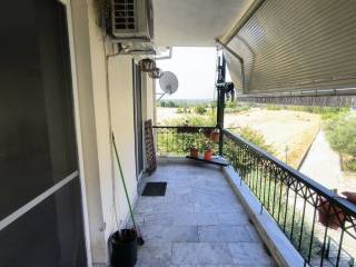 Apartment - Grekodom 63776|998983