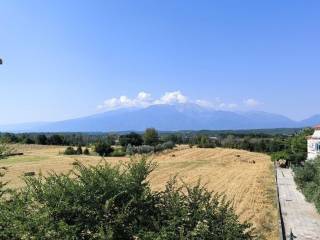 Apartment - Grekodom 63776|998996