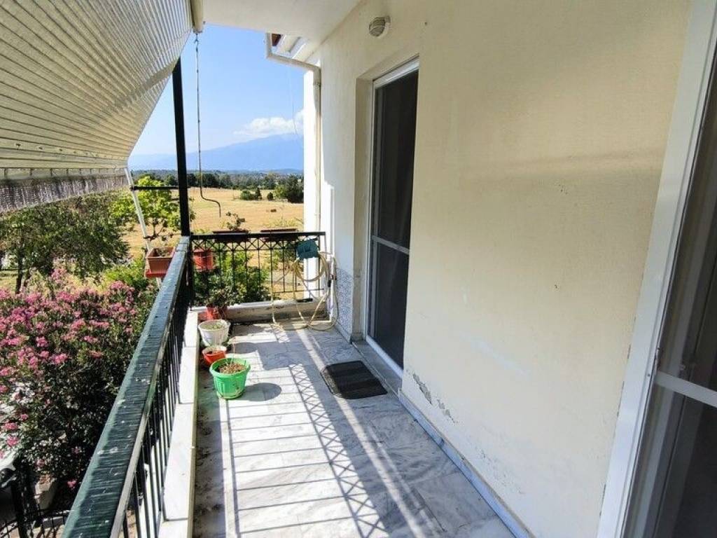 Apartment - Grekodom 63776|998990