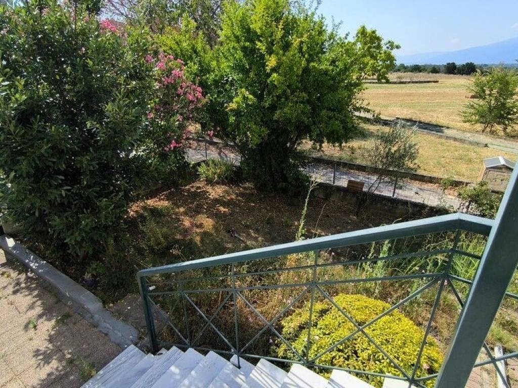 Apartment - Grekodom 63776|998993