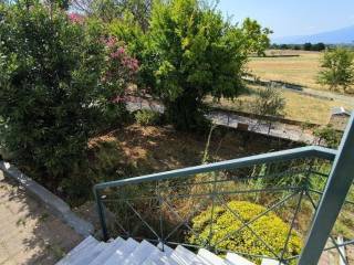 Apartment - Grekodom 63776|998993