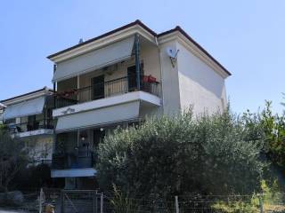 Apartment - Grekodom 63776|999002